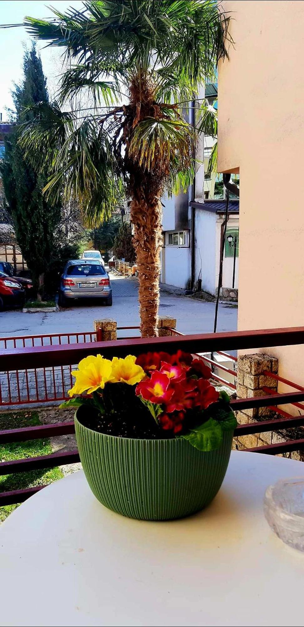 Vn Apartments Ohrid Extérieur photo